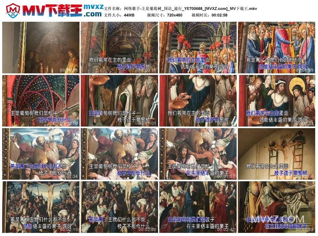 网络歌手-主是葡萄树_国语_流行_YE700688